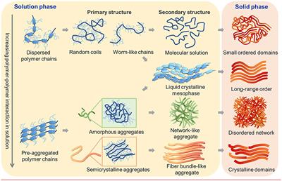 What Is the Assembly Pathway of a Conjugated Polymer From Solution to Thin Films?